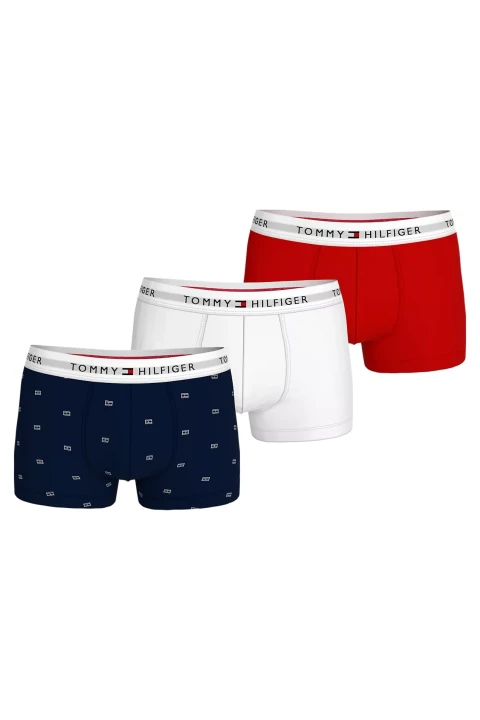 Erkek 3P Trunk Prınt Boxer 