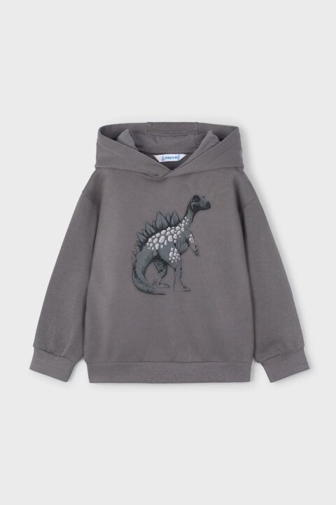 Erkek Çocuk Dinozor Baskılı Kapüşonlu Sweatshirt - Gri 