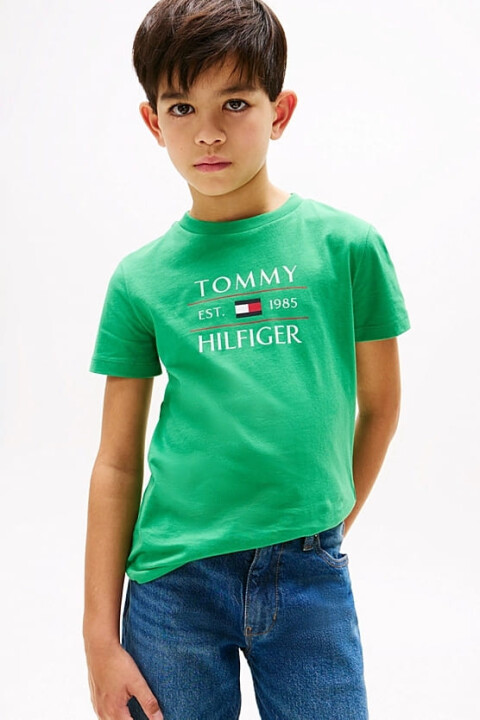Erkek Çocuk Tommy Flag Hilfiger T-Shirt - Yeşil 